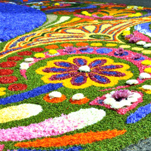 Infiorata di Spello con Maggialetti Viaggi