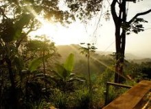 MINCA:Il polmone verde della Colombia