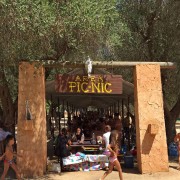 CARRISILAND AREA PIC NIC