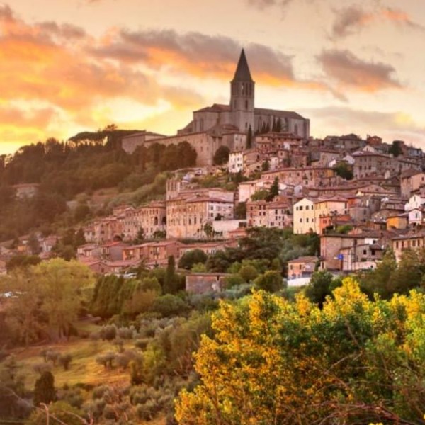 Todi